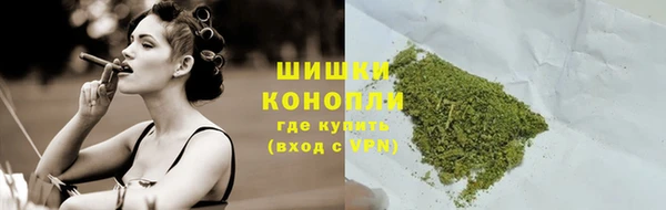 амф Богородицк