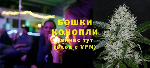 apvp Богородск